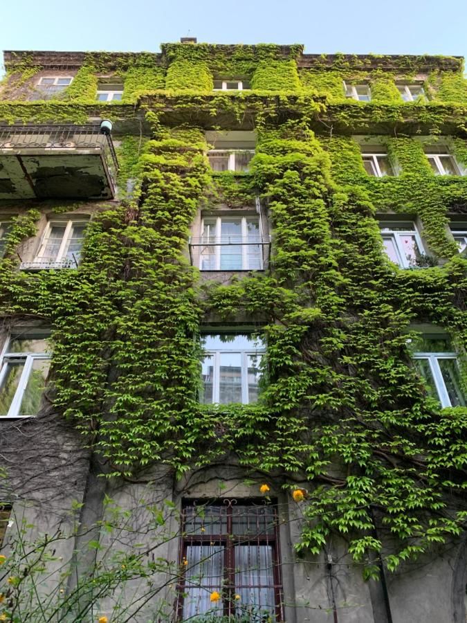 Апартаменты Apartments Lux in city center Lviv Львов-25