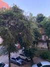 Апартаменты Apartments Lux in city center Lviv Львов-6