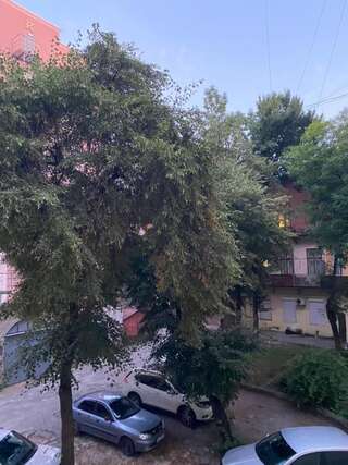 Апартаменты Apartments Lux in city center Lviv Львов Апартаменты Art с 2 спальнями, Hnatyuka 3-6