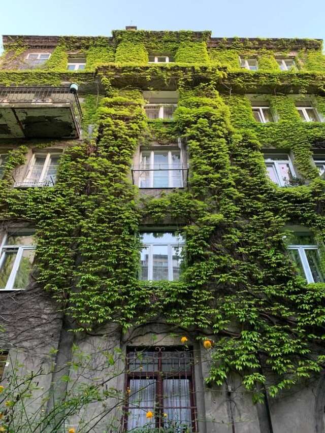 Апартаменты Apartments Lux in city center Lviv Львов-24